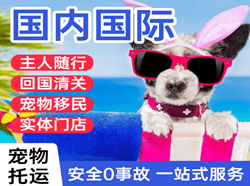 白山长白山航空运输国际宠物托运 【国